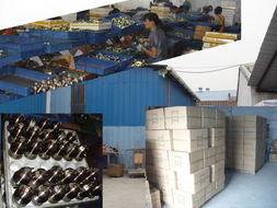 锁具制造的艺术与科技 探访中山市小榄镇燊和五金制品厂的机械设备创新